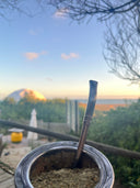 Yerba mate o café : ¿cuál elegir para empezar bien el día?